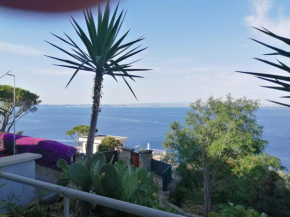 Le Fioriere Residence Porto San Stefano